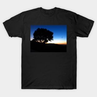 Coffee Sunset T-Shirt